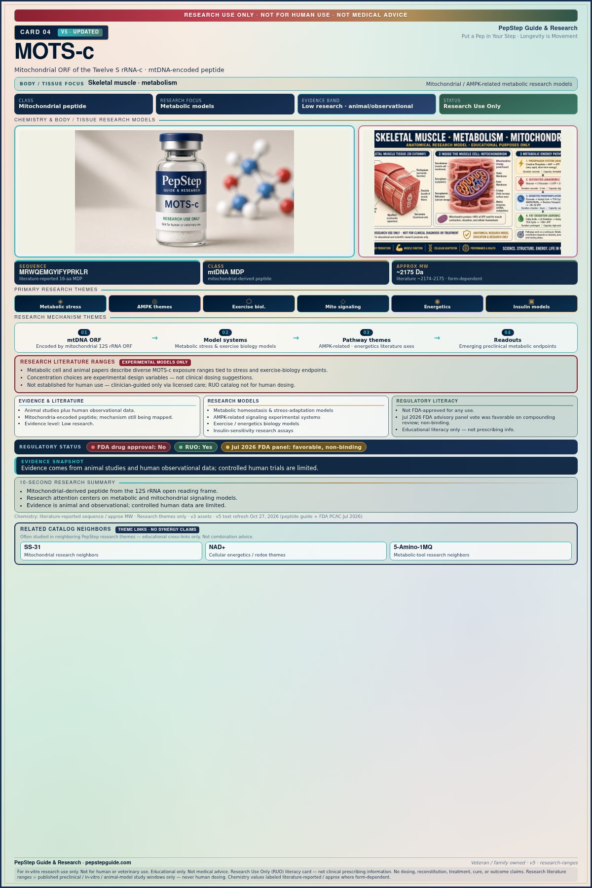 PepStep research education card for MOTS-c